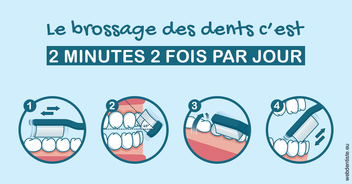 https://dr-patrice-drancourt.chirurgiens-dentistes.fr/Les techniques de brossage des dents 1