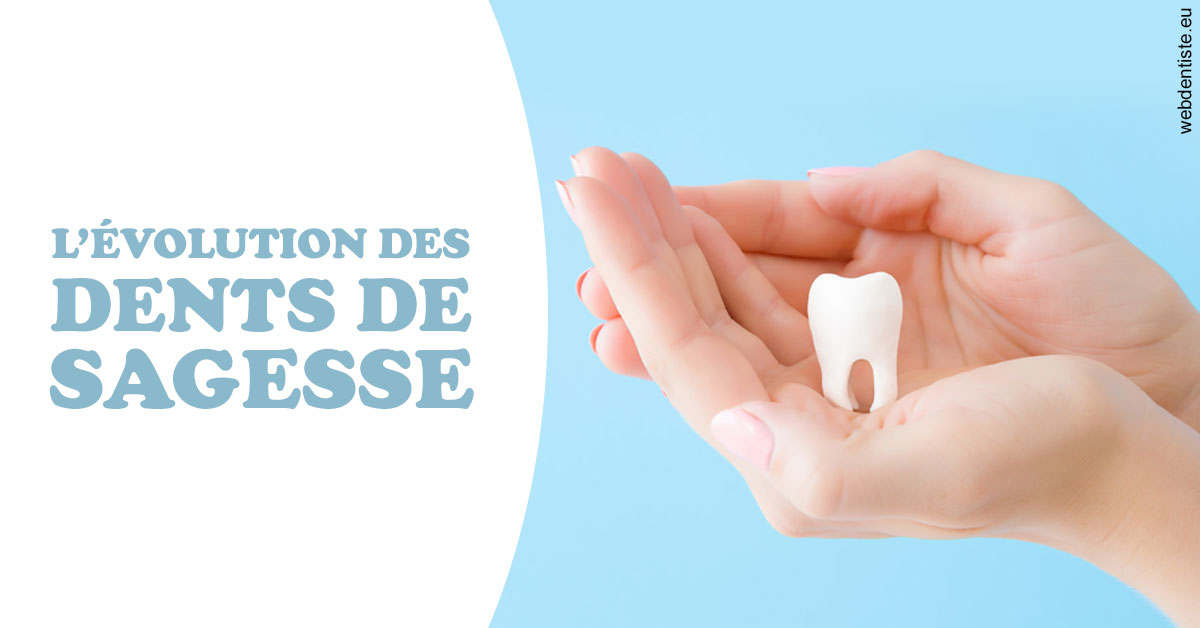 https://dr-patrice-drancourt.chirurgiens-dentistes.fr/Evolution dents de sagesse 1