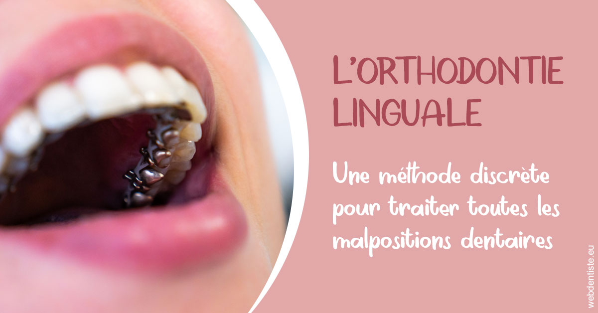 https://dr-patrice-drancourt.chirurgiens-dentistes.fr/L'orthodontie linguale 2