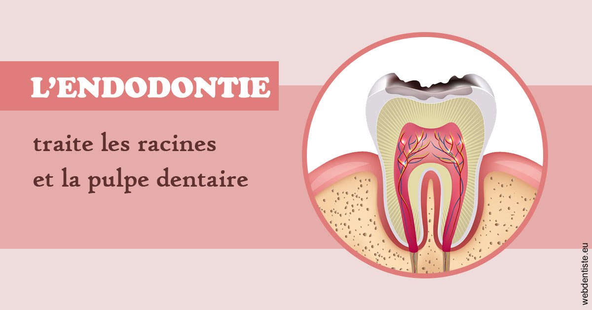 https://dr-patrice-drancourt.chirurgiens-dentistes.fr/L'endodontie 2