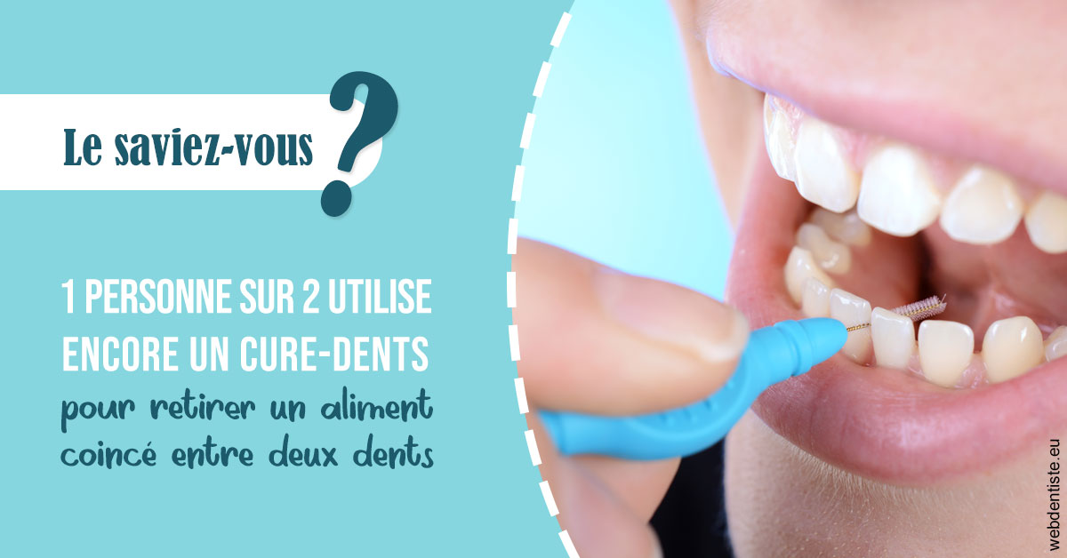 https://dr-patrice-drancourt.chirurgiens-dentistes.fr/Cure-dents 1