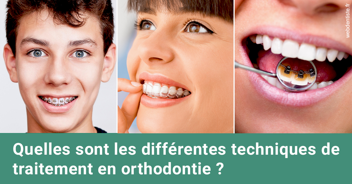 https://dr-patrice-drancourt.chirurgiens-dentistes.fr/Les différentes techniques de traitement 2